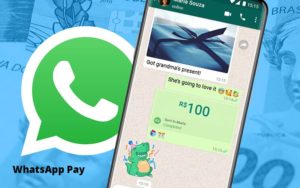 Entenda Os Impactos Do Whatsapp Pay Para O Seu Negocio - NFP Contabilidade