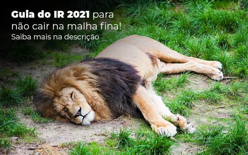 Guia Ir 2021 Para Nao Cair Na Malha Fina Saiba Mais Na Descricao Post 1 - NFP Contabilidade